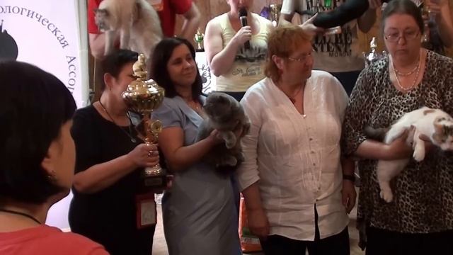 Выставка МФА 20-21 апреля 2013 Ульяновск. С судьями Суминой, Трудель, Шевченко, Ухановой. смотреть онлайн