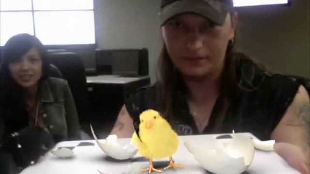 Beeline / Baby Chicks Behind the Scenes смотреть онлайн