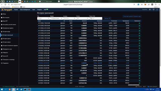 Добавил монет в стейкинг Chinet 1852 монеты.