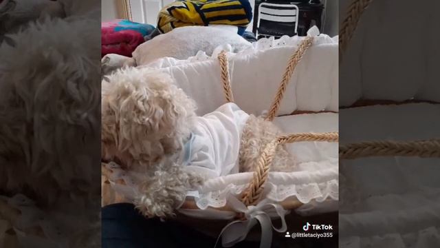 8 de noviembre de 2020 смотреть онлайн