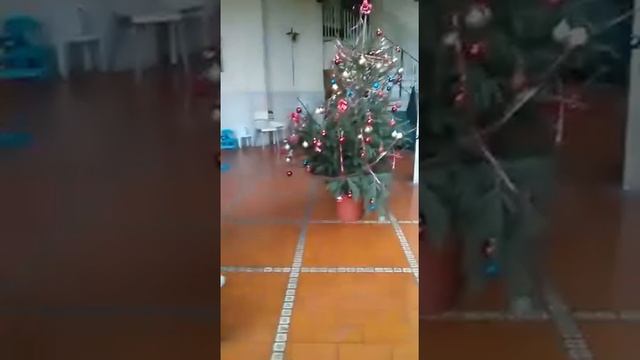 Consegnati i regali all'orfanotrofio di Afragola. смотреть онлайн