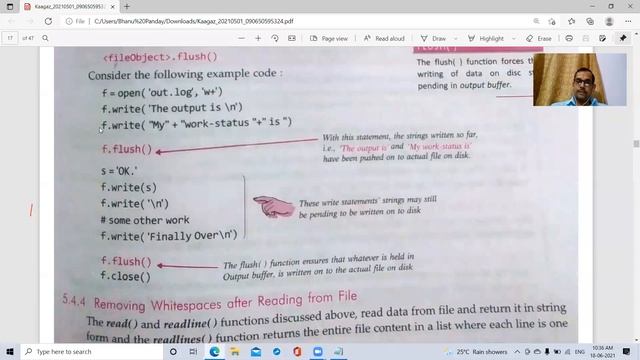 Class XII File Handling Flush function and strip function With program смотреть онлайн