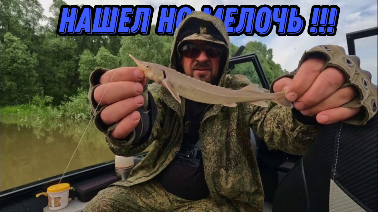 ИСКАЛ СТЕРЛЯДЬ ! Рыбалка на Оби 14 июня 2024г. Видеоотчет ! смотреть онлайн