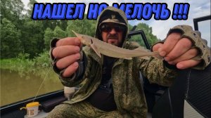 ИСКАЛ СТЕРЛЯДЬ ! Рыбалка на Оби 14 июня 2024г. Видеоотчет !