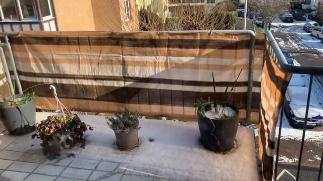 Не поливала цветы полтора месяца - Отзыв о кашпо lechuza смотреть онлайн