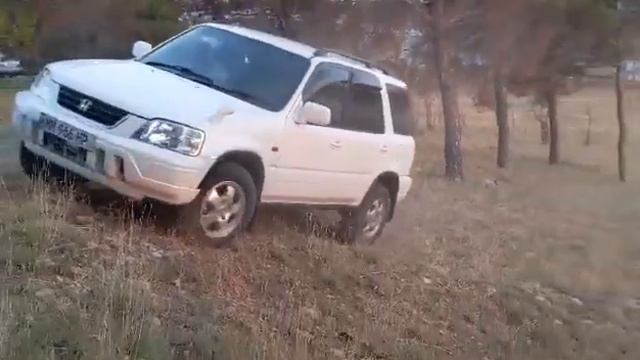 Honda Crv Rd1 Offroad