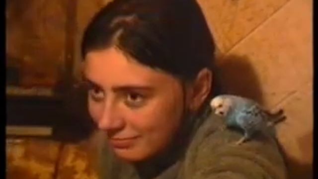 гламурный попугай смотреть онлайн