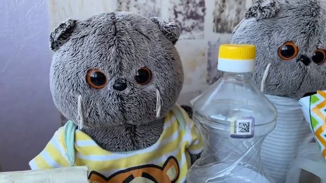 Гигантские сухари для басиков