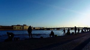 Ловля корюшки в Неве. Видео открытка из СПб #ловлякорюшкинапаук #видеооткрытка #оченьпростоевидео