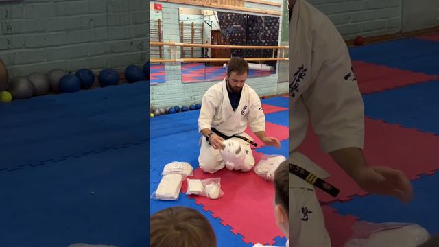 Гайд про защиту для группы новичков 2024 - КАРАТЭ КИОКУШИНКАЙ смотреть онлайн