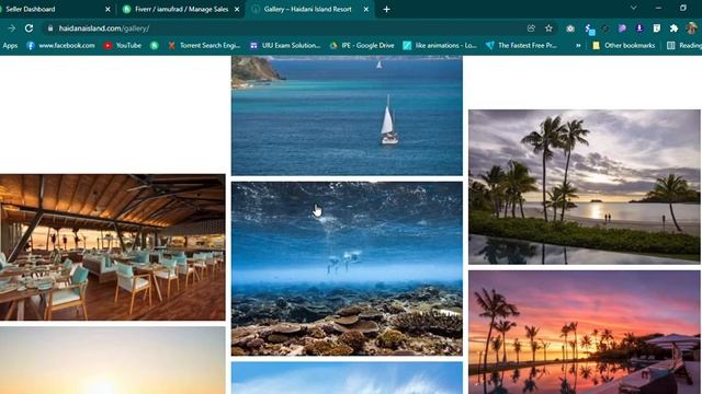 Build Best Travel and Resport Booking WordPress Website смотреть онлайн
