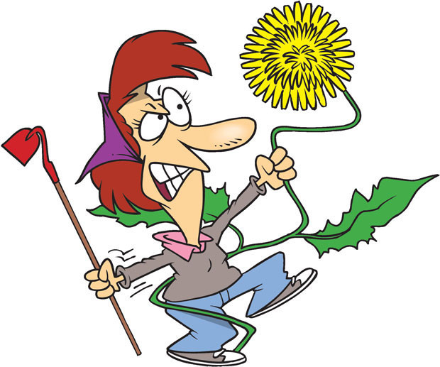 Зачем нужны эти сорняки. Лучше было бы без них? смотреть онлайн