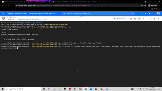 Detect Labels, Faces, and Landmarks in Images with the Cloud Vision API | GSP037 | смотреть онлайн