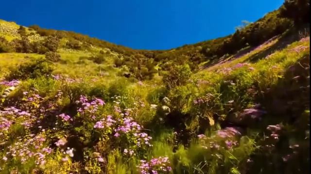 СИНЯЕВА ГАЛИНА. "НОКТЮРН! " музыка А.Бабаджаня на стихи Р.Рождественского смотреть онлайн