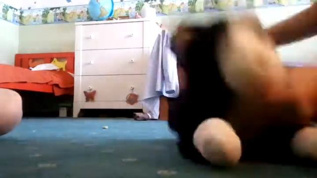 Кот Кузя танцует Angry Birds смотреть онлайн