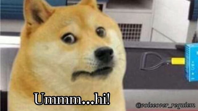 wacky yellow dog does uncharacteristic wacky things смотреть онлайн