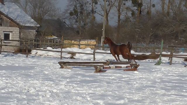 019 Электрум смотреть онлайн