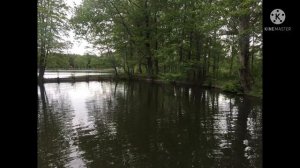 Озера Электрогорска