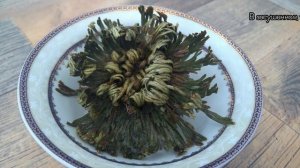 Иерихонская роза с Aliexpress