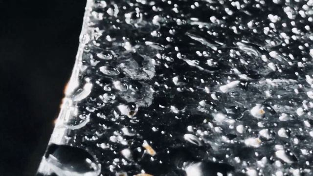 VID 20240204 005616 Стихотворение о том, чем стать (Франк Йегер)...Павел Васильев Лахтинский смотреть онлайн