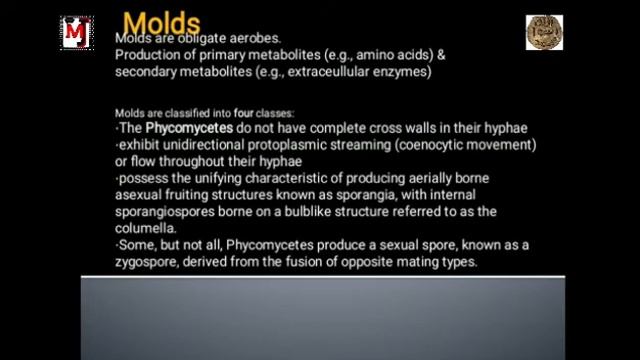 Microorganisms in Biotechnology -IntroTo Biotechnology -Lecture # 2 -Dr.Khadija Naseer смотреть онлайн