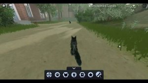 Коты воители - дом! Warrior Cats Ultimate Edition