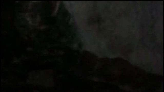 Летучая мышь атаковала. смотреть онлайн