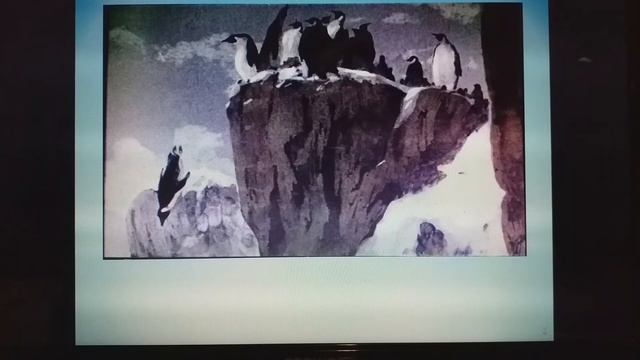 Г. Снегирев - Про пингвинов. Читает Т.А. Соколова. Библиотека мкрн. Луговая