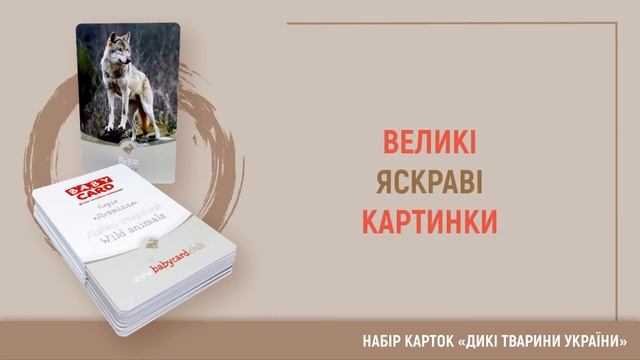 Дикие животные Украины. Серія "Довкілля" смотреть онлайн