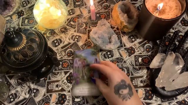?Oracle Pick A Card ? Unicorn Oracle | Spirit Of The Animals Oracle | Sacred Self Care Oracle смотреть онлайн