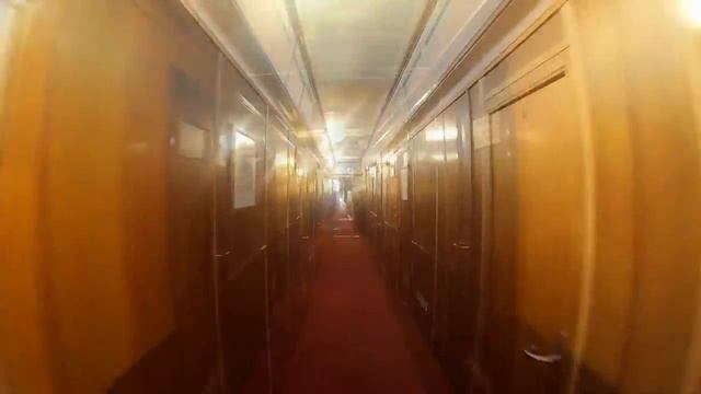 Сделай Себя Профессионалом