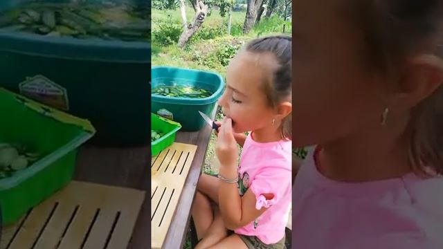 Огурчики в пластиковой бутылке под застолье на любо вкус. Моченые огурцы просто, лёгкий рецепт. смотреть онлайн