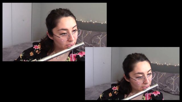 Duets #13 - #19 | Nineteen Flute Duos Selected from the Works of Devienne смотреть онлайн