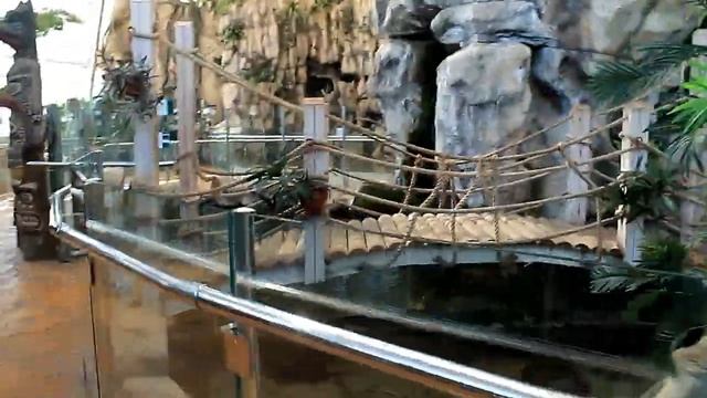 Минский ЗООПАРК смотреть онлайн