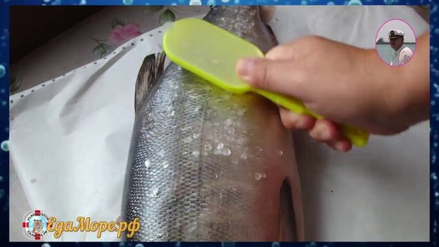 Как почистить рыбу от чешуи от Petr de Cril’on смотреть онлайн