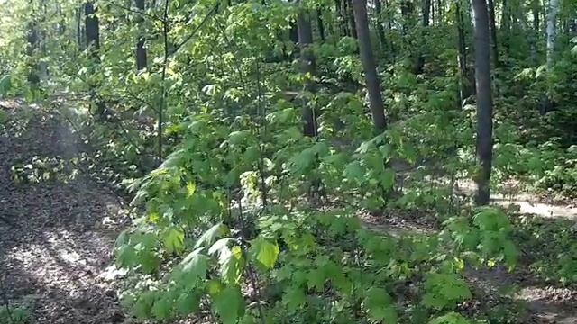 ИЗБА - стих (поэт, актриса, автор этого стихотворения - Наталья Шахназарова) смотреть онлайн