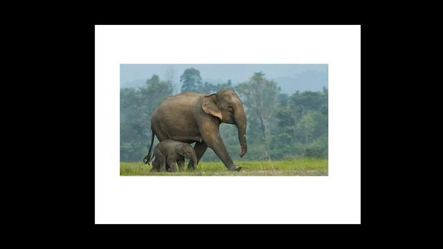 An Environment Ethics Part-1 смотреть онлайн