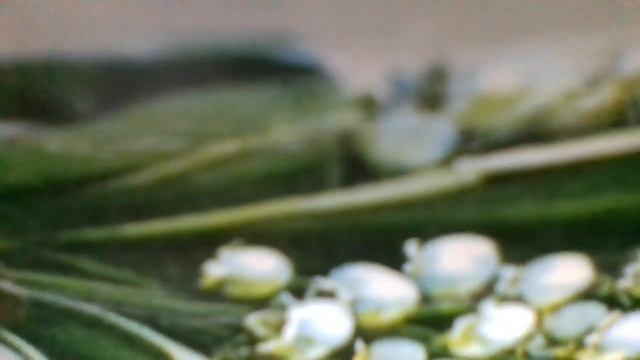 Чашка(А у меня есть чашка,и чайник заварной,я чай налью вам в чашку,попейте чай со мной(наброски) смотреть онлайн