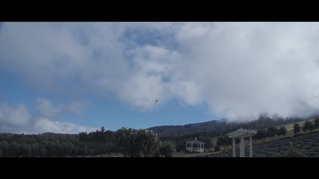 Blackmagic Pocket Cinema 4K Cruise to Hawaii смотреть онлайн
