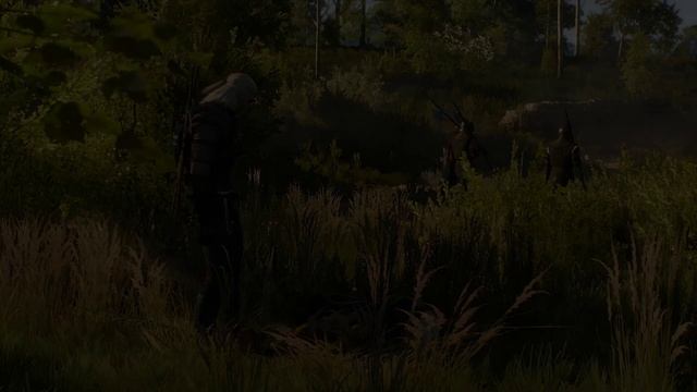 Ведьмак 3 : Дикая Охота 4K - Ценный Груз, подробный разбор квеста (The Witcher 3: Wild Hunt) смотреть онлайн