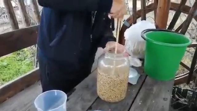 Процесс приготовления диких дрожжей. от А до Я. смотреть онлайн