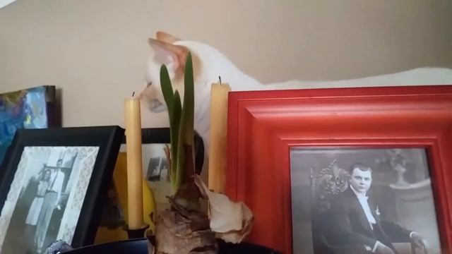 ❤Etta ❤ смотреть онлайн