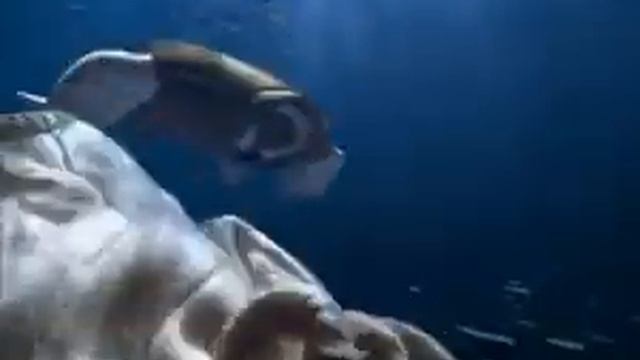 ARISTON AQUALTIS TV Commercial 2006