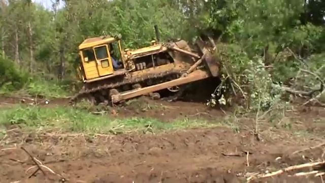 БАЗ Т-180 ВАЛИТ ДЕРЕВО смотреть онлайн