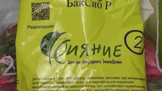 Дачные советы 17.11.2016. Итоги уходящего сезона. Подготовка почвосмеси. Безрассадные сорта томатов смотреть онлайн