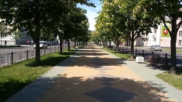 Аллея цветущих каштанов