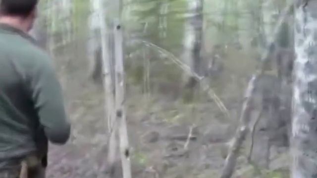 Wolf Hunting Охота на волка смотреть онлайн