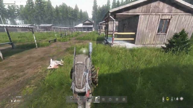 НАПОЛУЧАЛ В DAYZ \ LIVONIA LITE \ ЛАМПОВОЕ ВЫЖИВАНИЕ В DAYZ смотреть онлайн