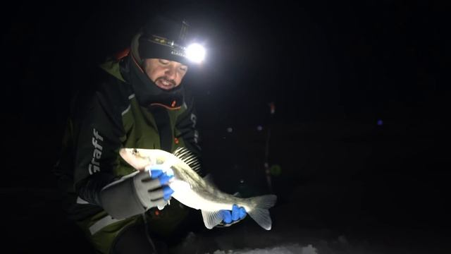 ОДИН НА ЛЬДУ. РЫБАЛКА С КОМФОРТОМ. СУДАК на жерлицы