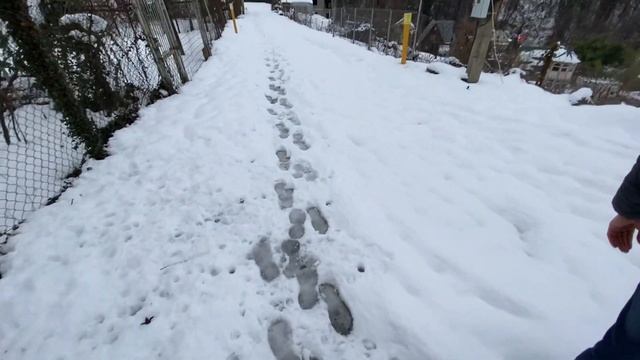 Три земельных участка в Сочи | Где купить участок в Сочи | АН СССР Сочи смотреть онлайн